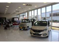 店内には最新の新車も展示しています。新車のご相談も承ります。