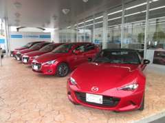 勿論、新車も取扱いしております。新車と中古車で迷っている方も、お待ちしてます。
