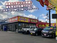 TAX　CowCow　シャドー null