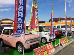 広々屋外展示場には、ピカピカのお車を多数展示中！実車を見て触って良さを感じてください！