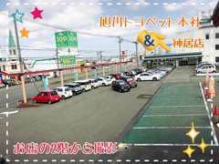 神居店は旭川市内最大級の展示場と展示車を完備！多数の展示車をご用意しております！中古車買うならトヨペット★