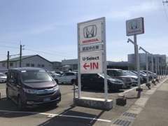 店舗横の展示場です。気になるお車を実際にご覧いただけます。