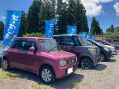 総台数200台以上ありますのでお気に入りのお車が見つかりますヨ♪