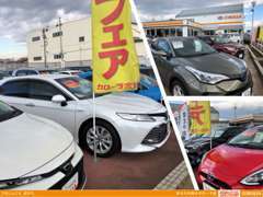 新車の試乗車の他、中古車の展示も多数取り扱い。他店舗の在庫も取り扱いできます！