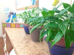 店内は非常にきれいです。みなさんのご来店をお待ちしております。