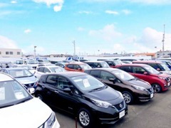 広い展示場ですのでゆっくりとご覧いただけます。