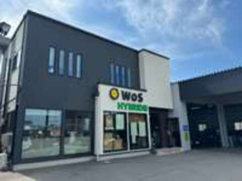 ワールド　岩出店 