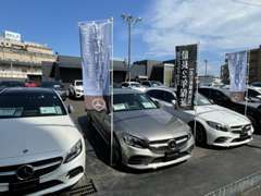 シュテルン世田谷グループの豊富な総在庫（常時600台以上）から、ご希望のお車をご案内致します！WEB非掲載在庫もございます☆