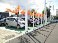 ミニバン・ハイブリッド・SUV・Nシリーズ豊富な展示