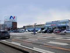 ネクステージ浜松自動車街通り店です。