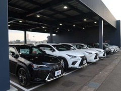 ネクステージでは車種別に専任の熟練バイヤーを配置。職人技のこだわり仕入れで安心してお車をお選びいただけます！