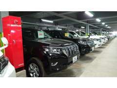 常時250台以上のSUV・ミニバンを取り揃えております