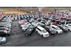 展示場には多数のお車を展示しております。ぜひ、実際に見て、触って、じっくりとお車をお選びください。