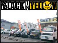 BLACK　IN　YELLOW null