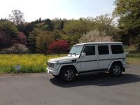 メルセデス・ベンツ Gクラス (ハッチバック) G550_LHD_4WD(AT_5.5)