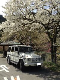 メルセデス・ベンツ Gクラス (ハッチバック) G550_LHD_4WD(AT_5.5)
