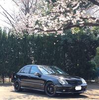 メルセデス・ベンツ Cクラス セダン C230コンプレッサーアバンギャルド スポーツパッケージ(AT_1.8)