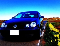 フォルクスワーゲン ポロ 4ドア_Leather_Package_RHD(5ドア_AT_1.4)