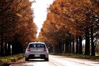 BMW 1シリーズ ハッチバック 118i_Mスポーツパッケージ_RHD(AT_2.0)