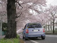 日産 マーチ コレット(5ドア_MT_1.0)