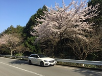 メルセデスAMG Cクラス ステーションワゴン メルセデスAMG C43 4マチック ステーションワゴン_RHD_4WD(AT_3.0)