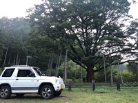 三菱 パジェロミニ デューク-V_4WD(MT_0.66) 