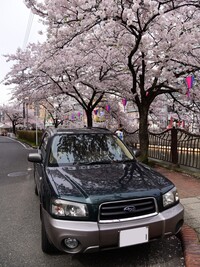 スバル フォレスター X20_L_L_Bean_EDITION_4WD(AT_2.0)
