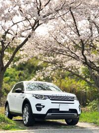 ランドローバー ディスカバリースポーツ HSE_RHD_4WD(AT_2.0)