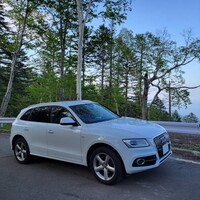 アウディ Q5 2.0 TFSI クワトロ Sライン_RHD_4WD(AT_2.0)