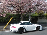 ポルシェ 911 ターボ_LHD_4WD(AT_3.6)