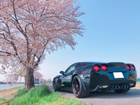 シボレー コルベット クーペ Z06_LHD(MT_7.0)