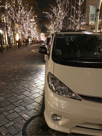 トヨタ エスティマL アエラス-S_4WD(AT_3.0_7人乗)