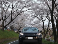 ランドローバー ディスカバリースポーツ SE(ガソリン)_RHD_4WD(AT_2.0)