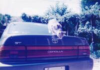 トヨタ カローラ GT(AT_1.6)