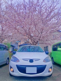 マツダ デミオ 13-スカイアクティブ シューティングスター スポルト(CVT_1.3)