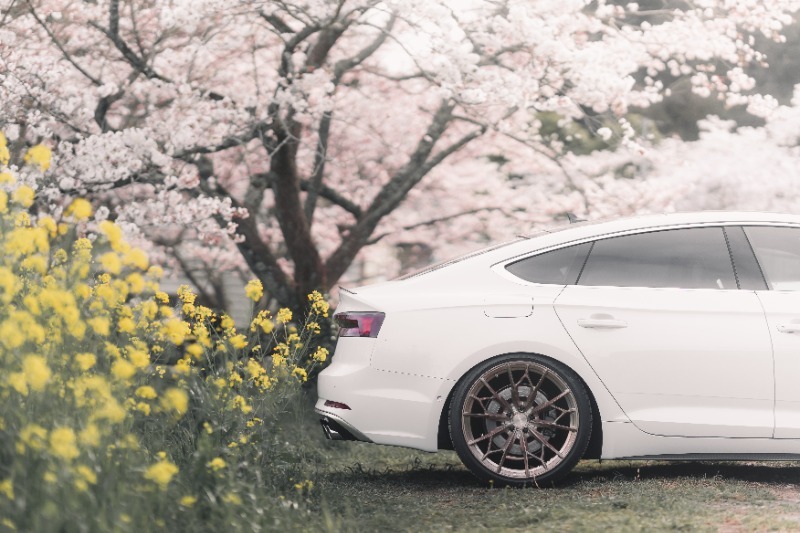 アウディ S5 スポーツバック S5 スポーツバック_RHD_4WD(AT_3.0)