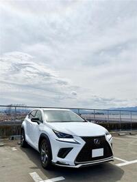 レクサス NX 300“Fスポーツ”_AWD(ECT_2.0)