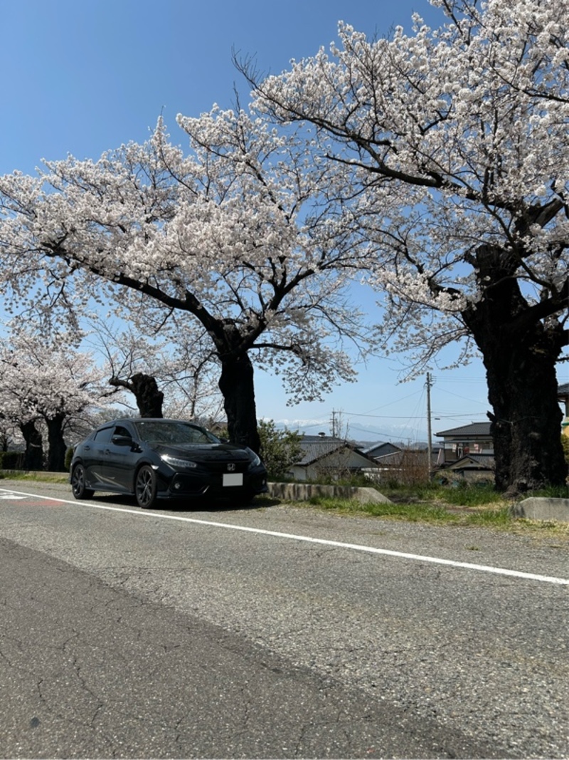 ホンダ シビック (ハッチバック) シビック ハッチバック(CVT_1.5)