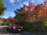 ミニ MINI Convertible ジョン クーパー ワ－クス コンバーチブル_RHD(MT_1.6)