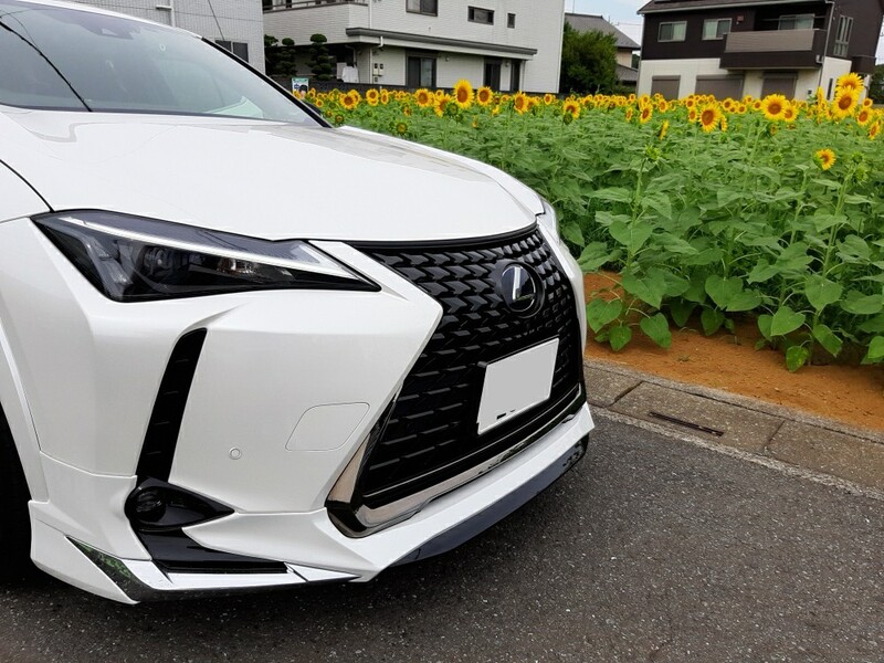 レクサス UXハイブリッド 250h“エレガントブラック”(CVT_2.0)