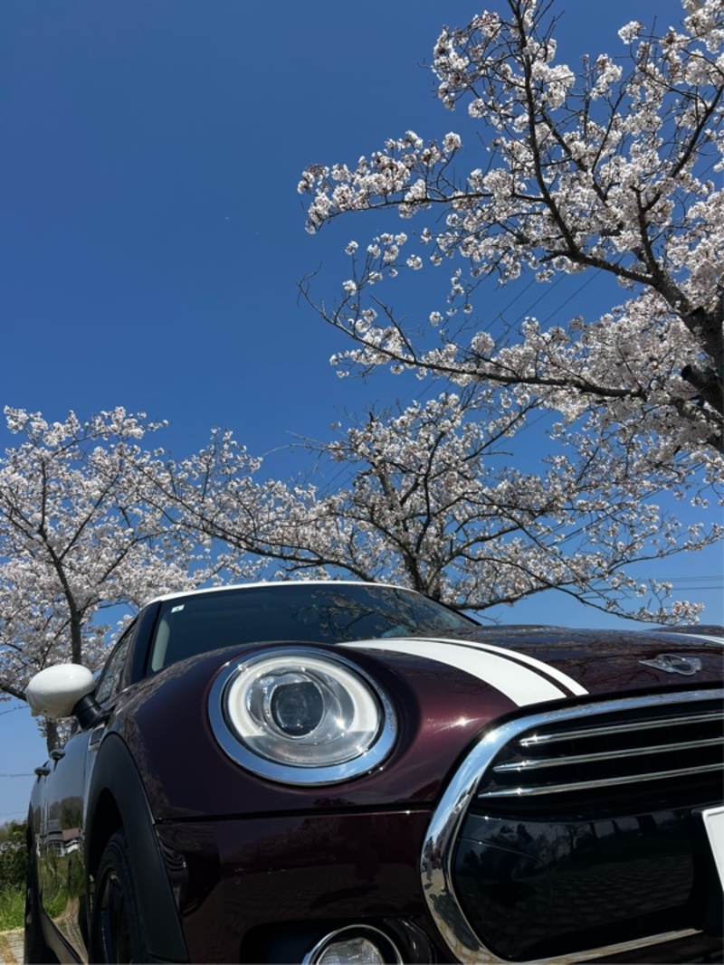 ミニ MINI Clubman クーパー クラブマン_RHD(AT_1.5)