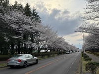ボルボ S60 T5 インスクリプション_RHD(AT_2.0)