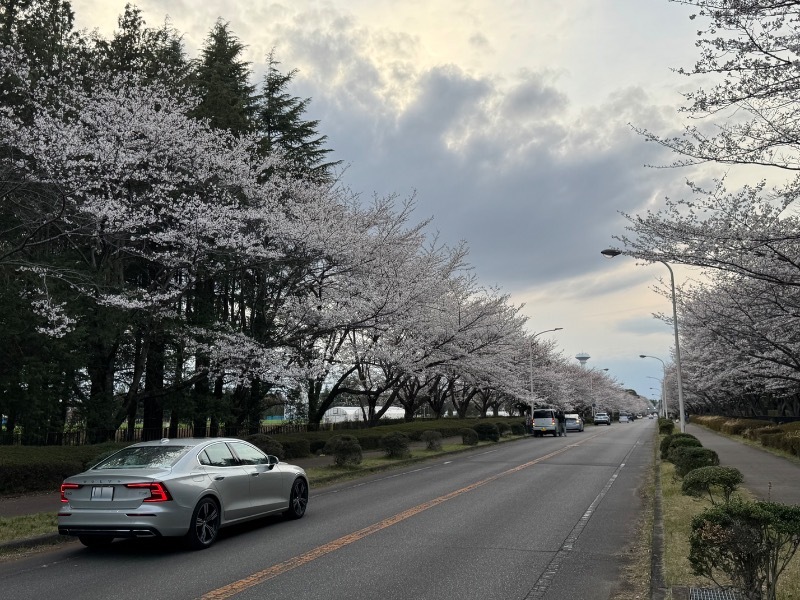 ボルボ S60 T5 インスクリプション_RHD(AT_2.0)