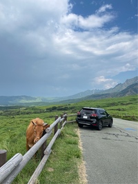 日産 エクストレイル 20Xi_5人乗り_4WD(CVT_2.0)