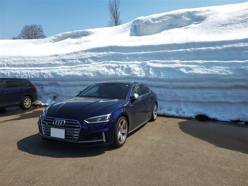 アウディ S5 スポーツバック スポーツバック_RHD_4WD(AT_3.0)