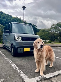 ホンダ N-BOXジョイ 2トーン(CVT_0.66)