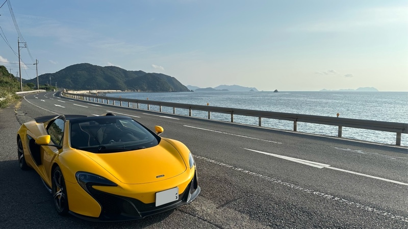 マクラーレン 650S スパイダー 650S スパイダー_LHD(SSG_3.8)