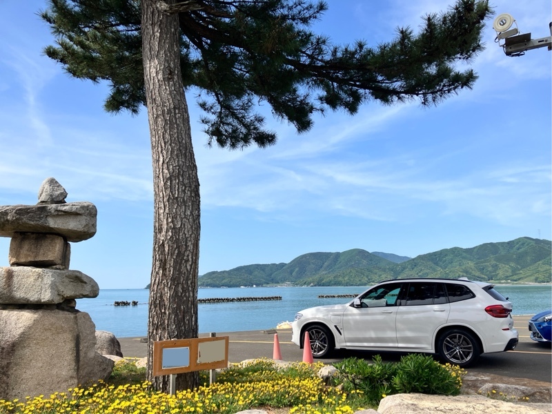 BMW X3プラグインハイブリッド xドライブ30e Mスポーツ_RHD_4WD(AT_2.0)