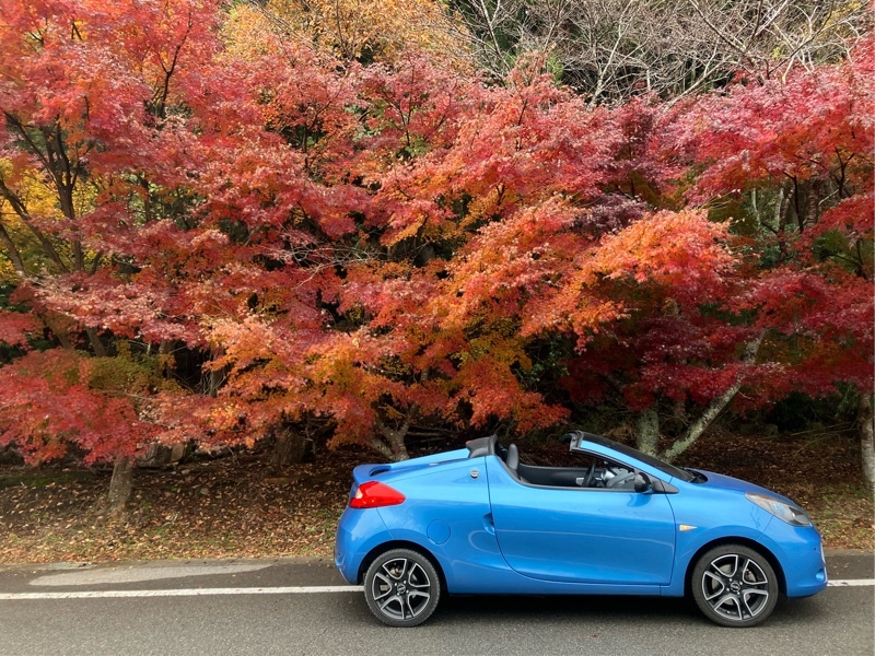 ルノー ウインド ウインド_LHD(MT_1.6)