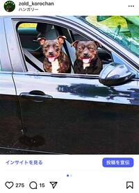BMW 3シリーズ セダン